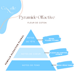 Diffuseur voiture - Fleur de coton