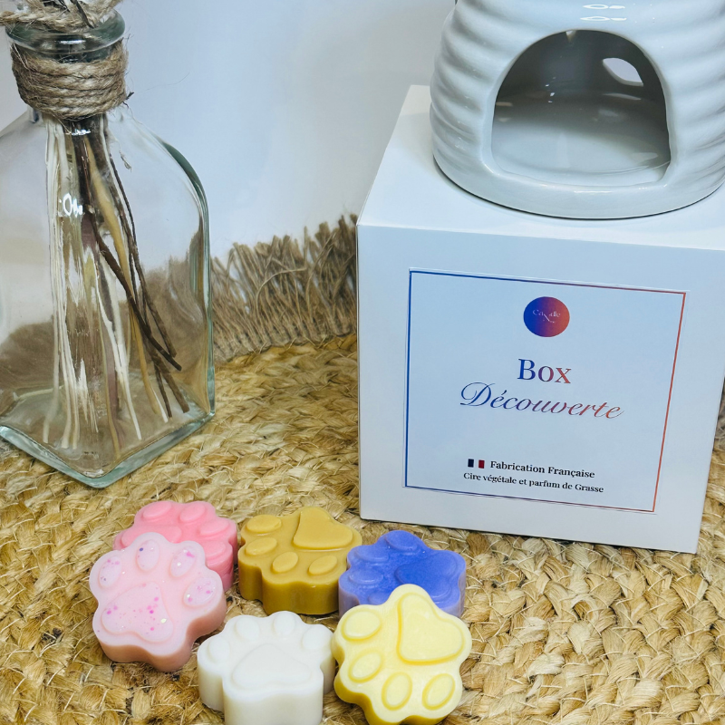 Box découverte fondants