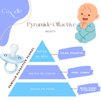 Tablette parfumée- Musty