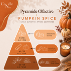 Fondant 18g - Pumpkin spice