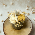 Bouquet de Fondants Parfumés – Vanille