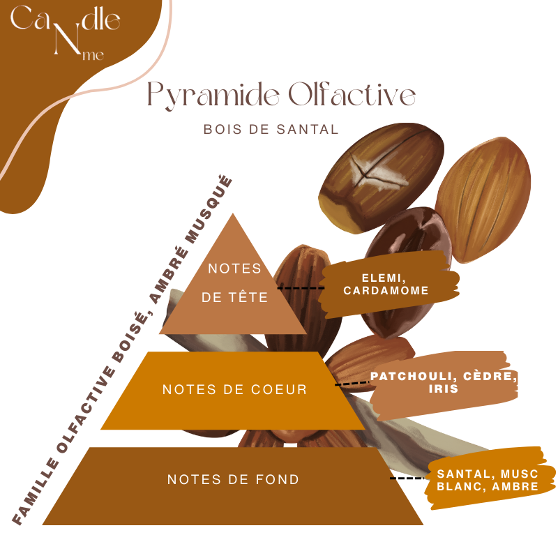 Élixir parfumée - Bois de santal