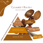 Élixir parfumée - Bois de santal