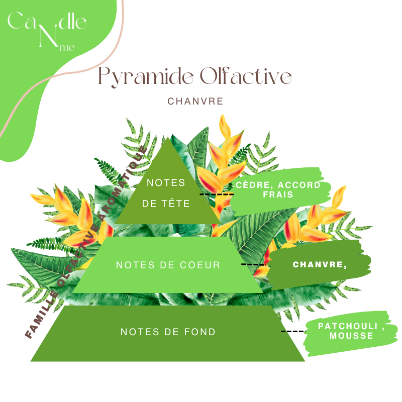 Élixir parfumée - Chanvre