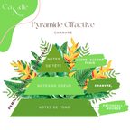 Élixir parfumée - Chanvre