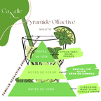 Précommande Bougie - Mojito Ice Latte