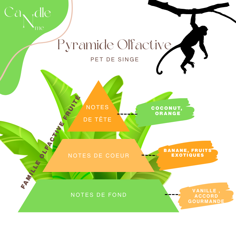 Bougie Classico - Pet de singe
