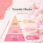 Fondant - Guimauve